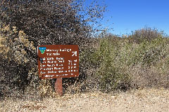 Murray Springs Trailhead