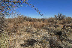 Road to Fort Bowie Parking Area