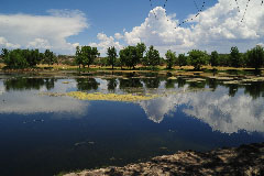 Slaughter Ranch Pond